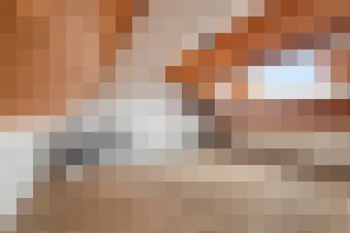 Veenmos 7 Nieuwerkerk aan den IJssel thumbnail 45