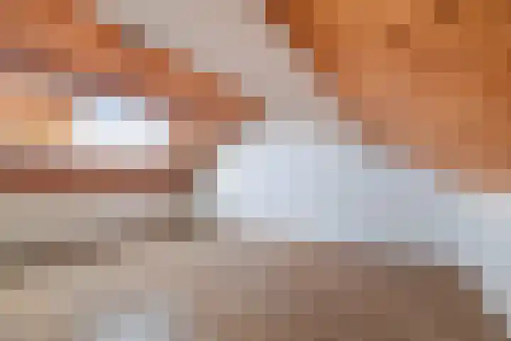 Veenmos 7 Nieuwerkerk aan den IJssel thumbnail 47