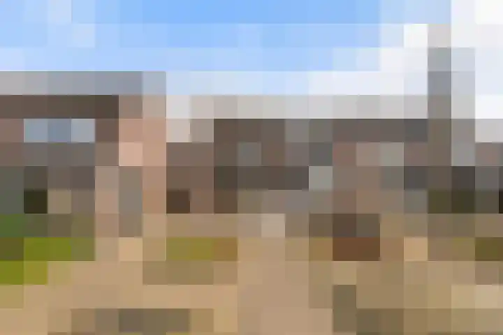 Veenmos 7 Nieuwerkerk aan den IJssel thumbnail 48