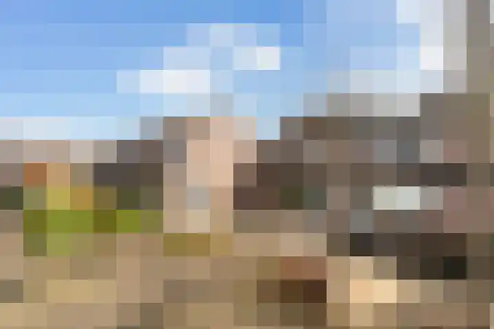 Veenmos 7 Nieuwerkerk aan den IJssel thumbnail 49