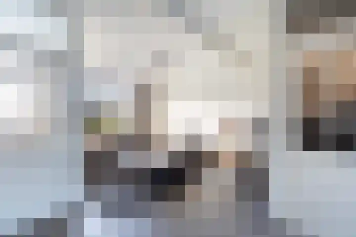 Veenmos 7 Nieuwerkerk aan den IJssel thumbnail 5