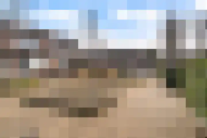 Veenmos 7 Nieuwerkerk aan den IJssel thumbnail 50