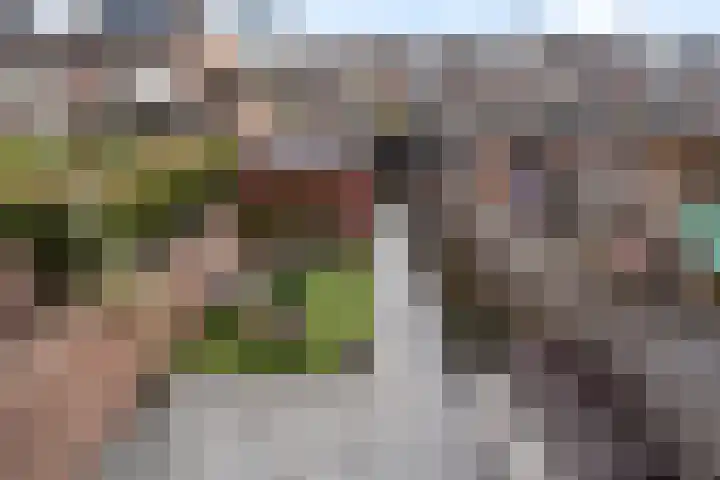 Veenmos 7 Nieuwerkerk aan den IJssel thumbnail 51