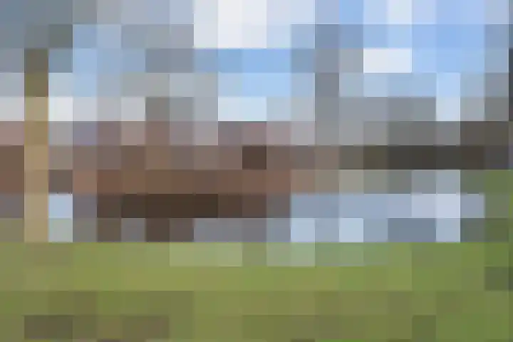 Veenmos 7 Nieuwerkerk aan den IJssel thumbnail 52