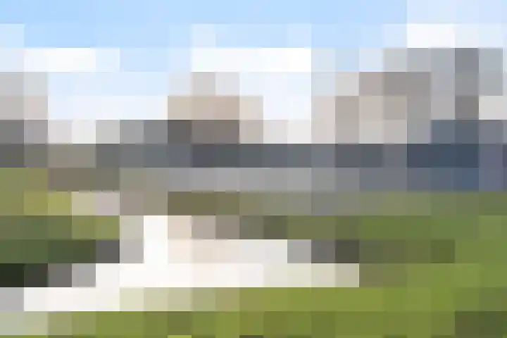 Veenmos 7 Nieuwerkerk aan den IJssel thumbnail 53