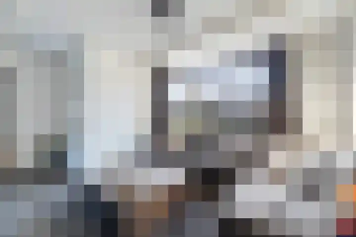 Veenmos 7 Nieuwerkerk aan den IJssel thumbnail 6