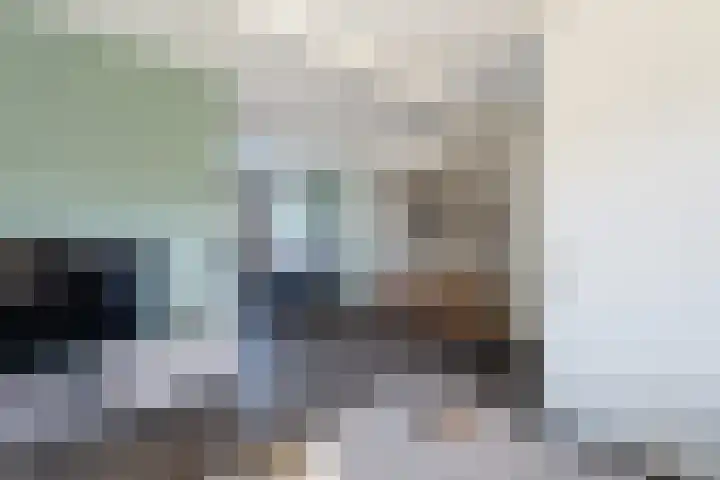 Veenmos 7 Nieuwerkerk aan den IJssel thumbnail 7