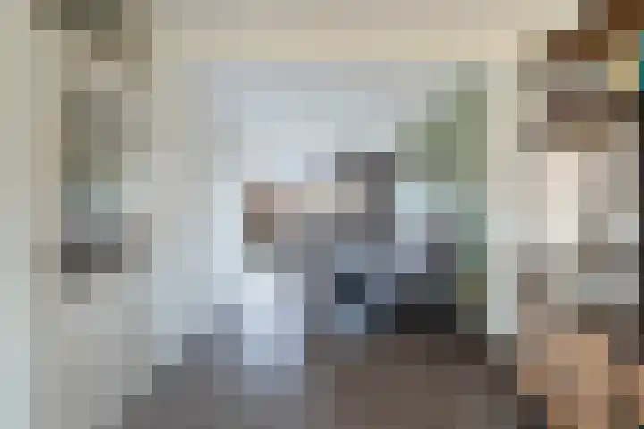 Veenmos 7 Nieuwerkerk aan den IJssel thumbnail 9