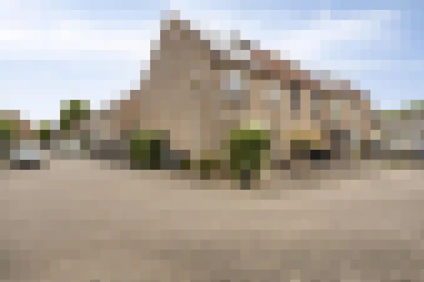 Veenmos 79 Kampen