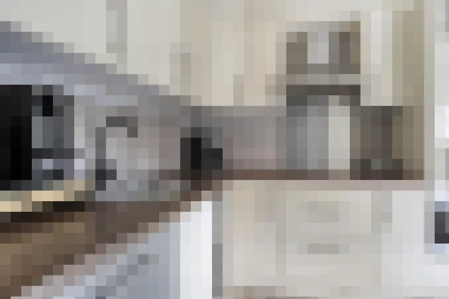 Veenmos 79 Kampen thumbnail 10