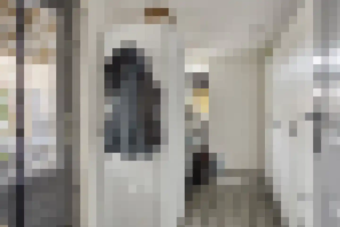 Veenmos 79 Kampen thumbnail 11