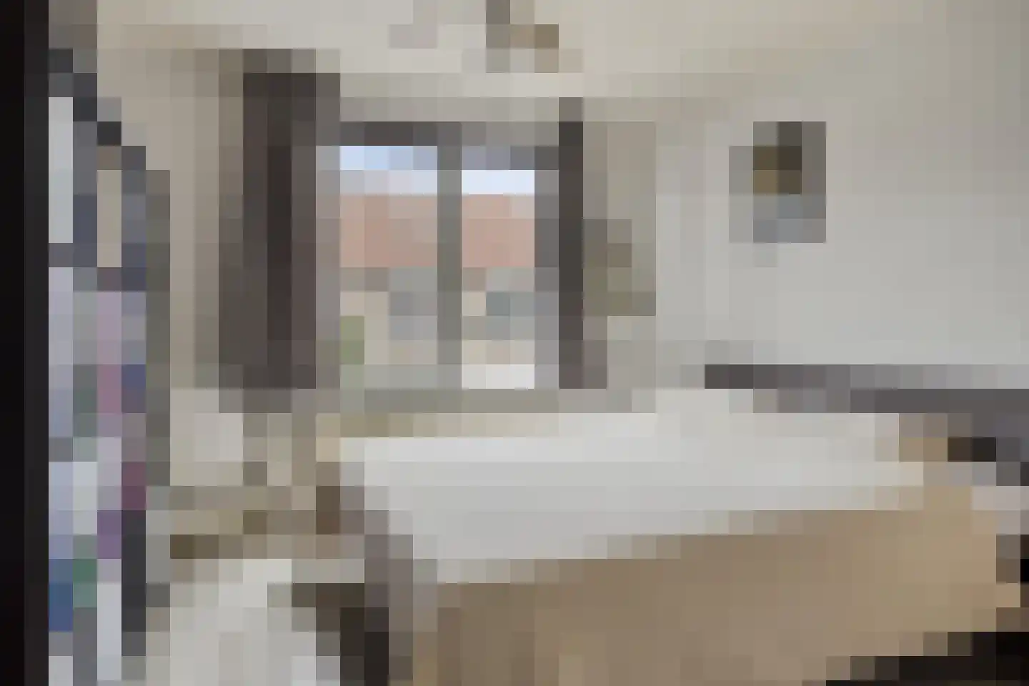 Veenmos 79 Kampen thumbnail 18