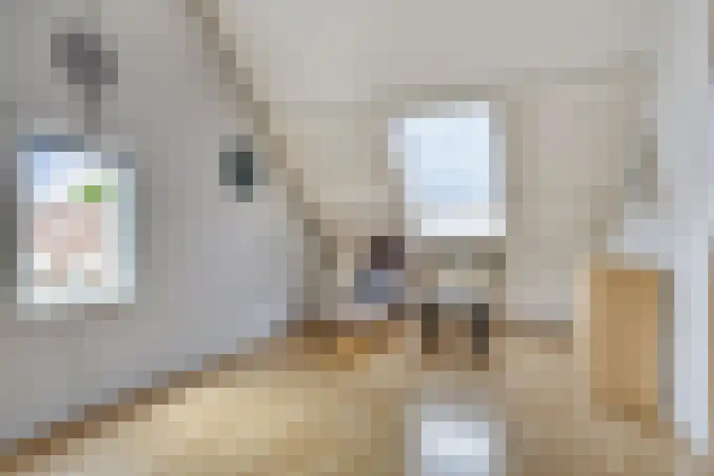 Veenmos 79 Kampen thumbnail 23
