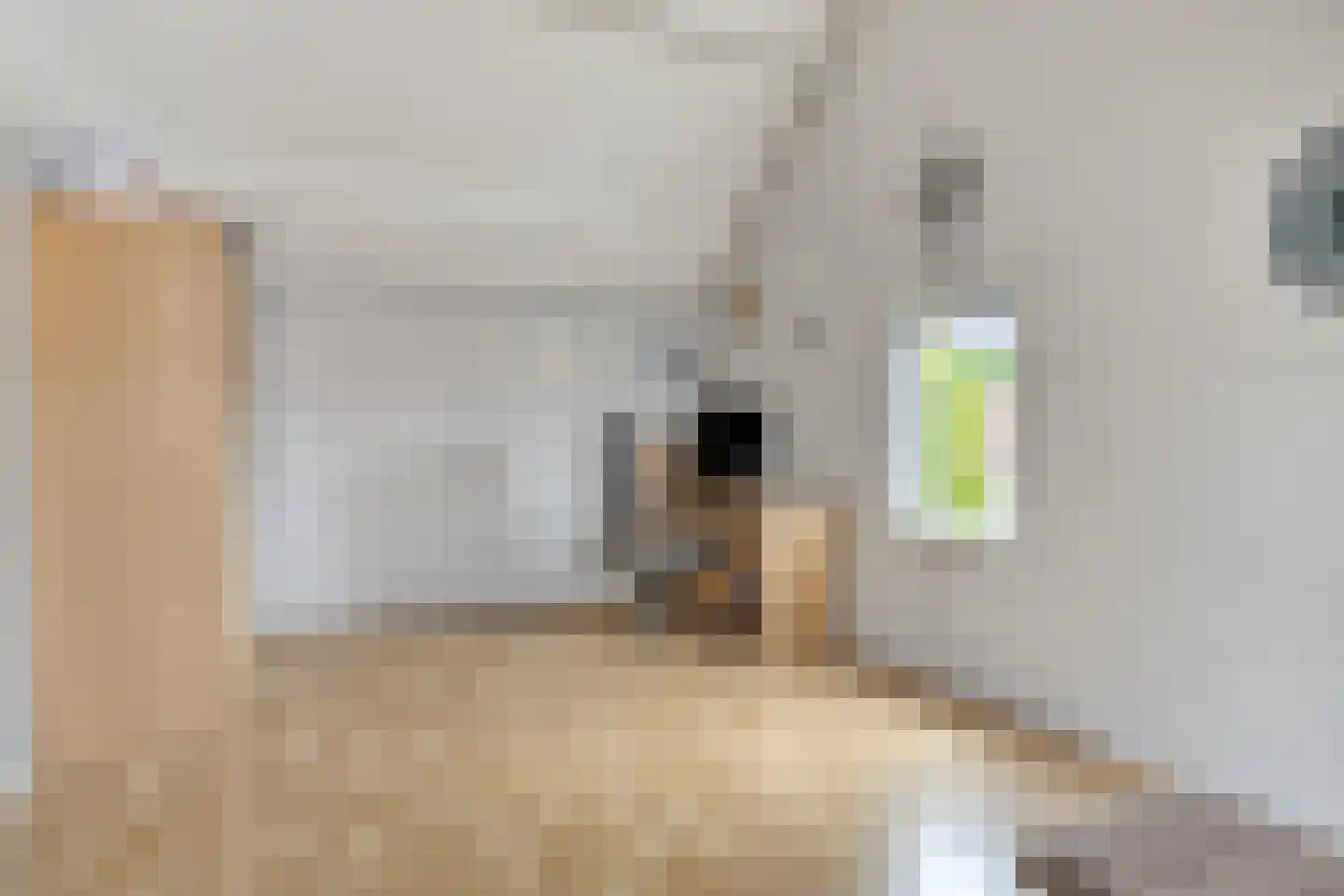 Veenmos 79 Kampen thumbnail 24