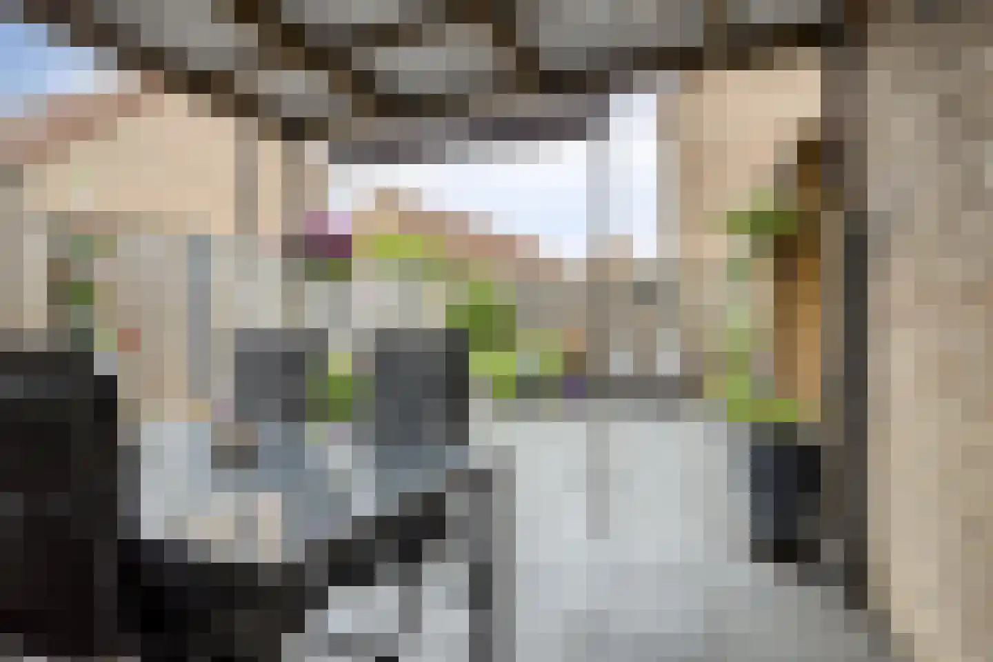 Veenmos 79 Kampen thumbnail 26