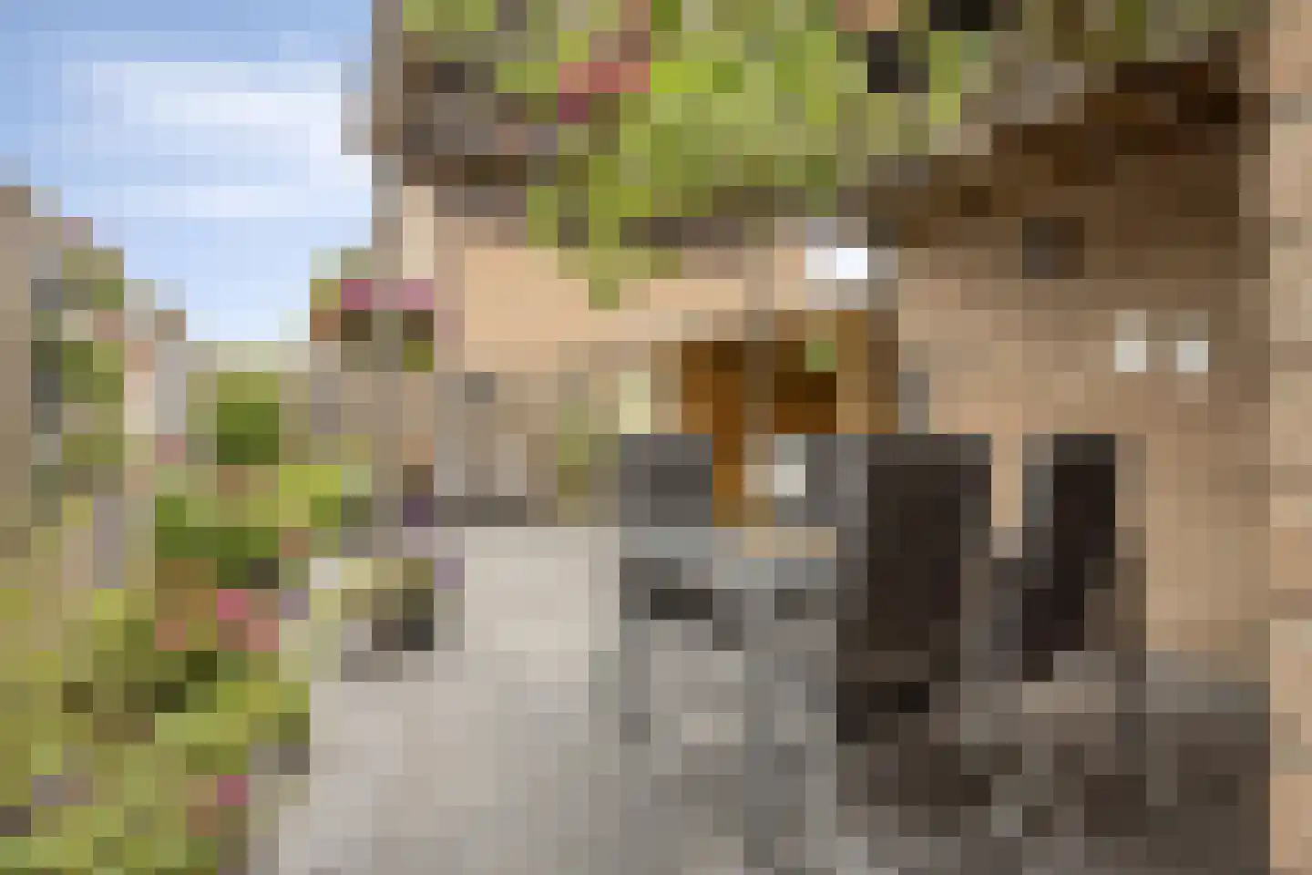 Veenmos 79 Kampen thumbnail 27