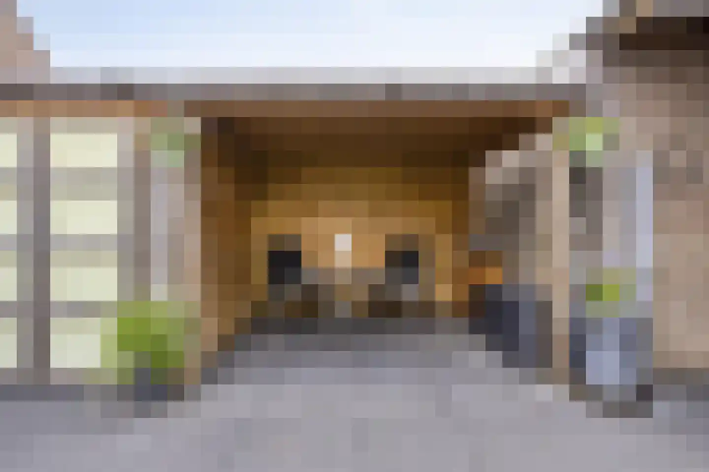 Veenmos 79 Kampen thumbnail 28