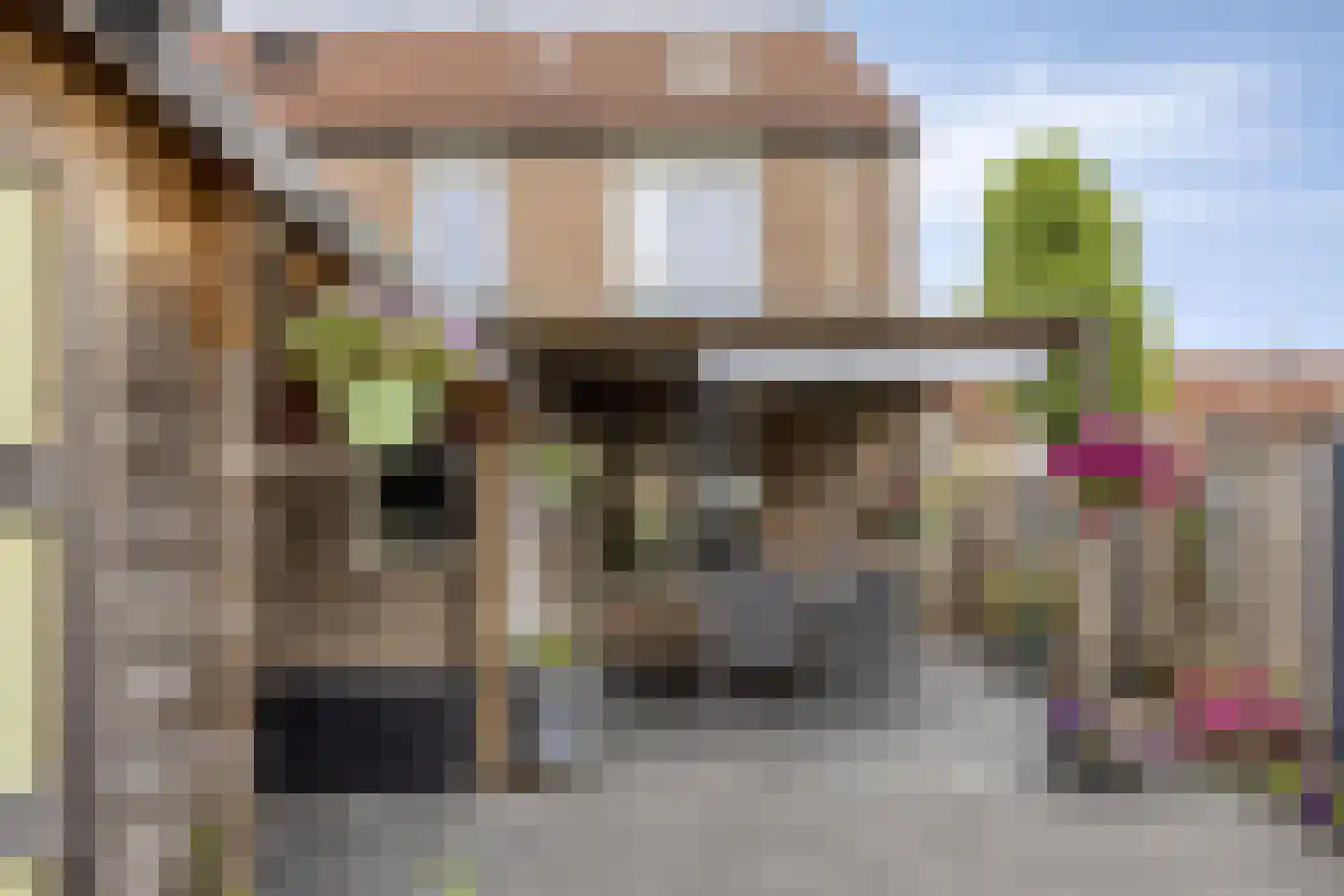 Veenmos 79 Kampen thumbnail 29