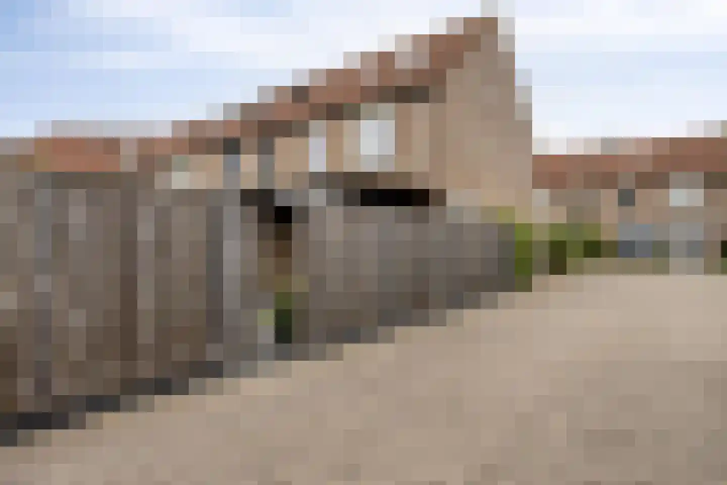 Veenmos 79 Kampen thumbnail 31