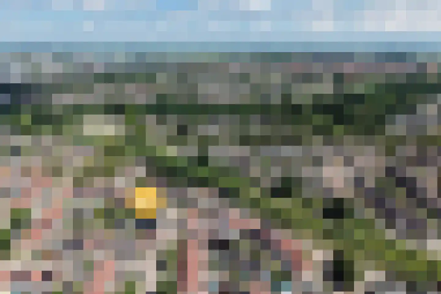 Veenmos 79 Kampen thumbnail 36