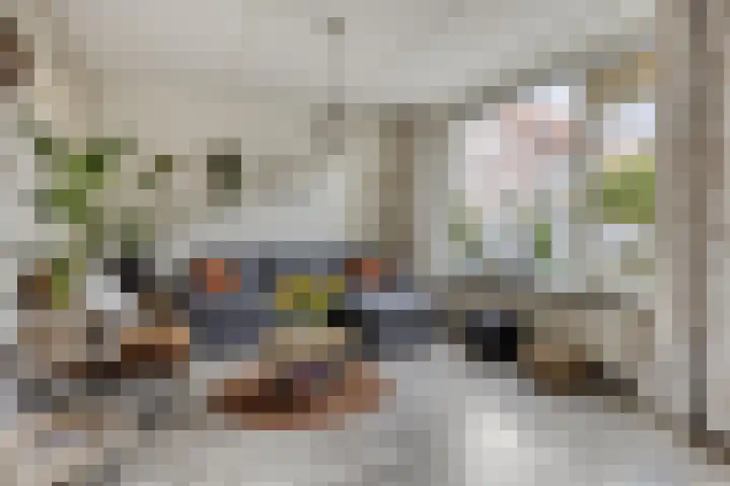 Veenmos 79 Kampen thumbnail 4