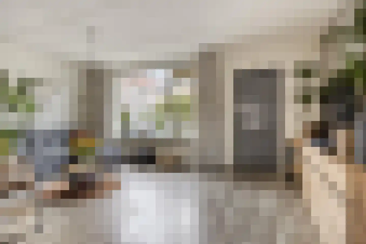 Veenmos 79 Kampen thumbnail 5