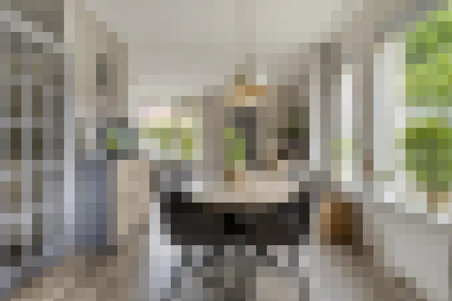 Veenmos 79 Kampen thumbnail 7