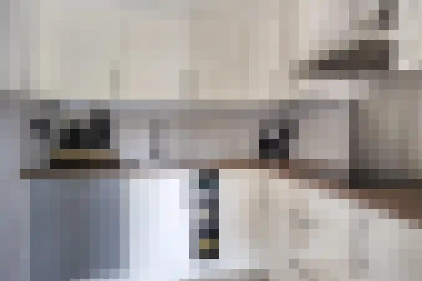 Veenmos 79 Kampen thumbnail 9