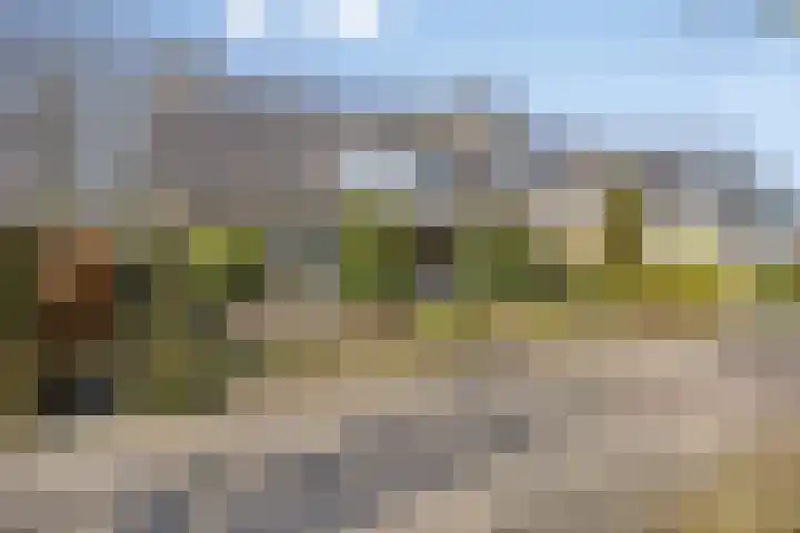 Veenmos 8 en Veenendaal