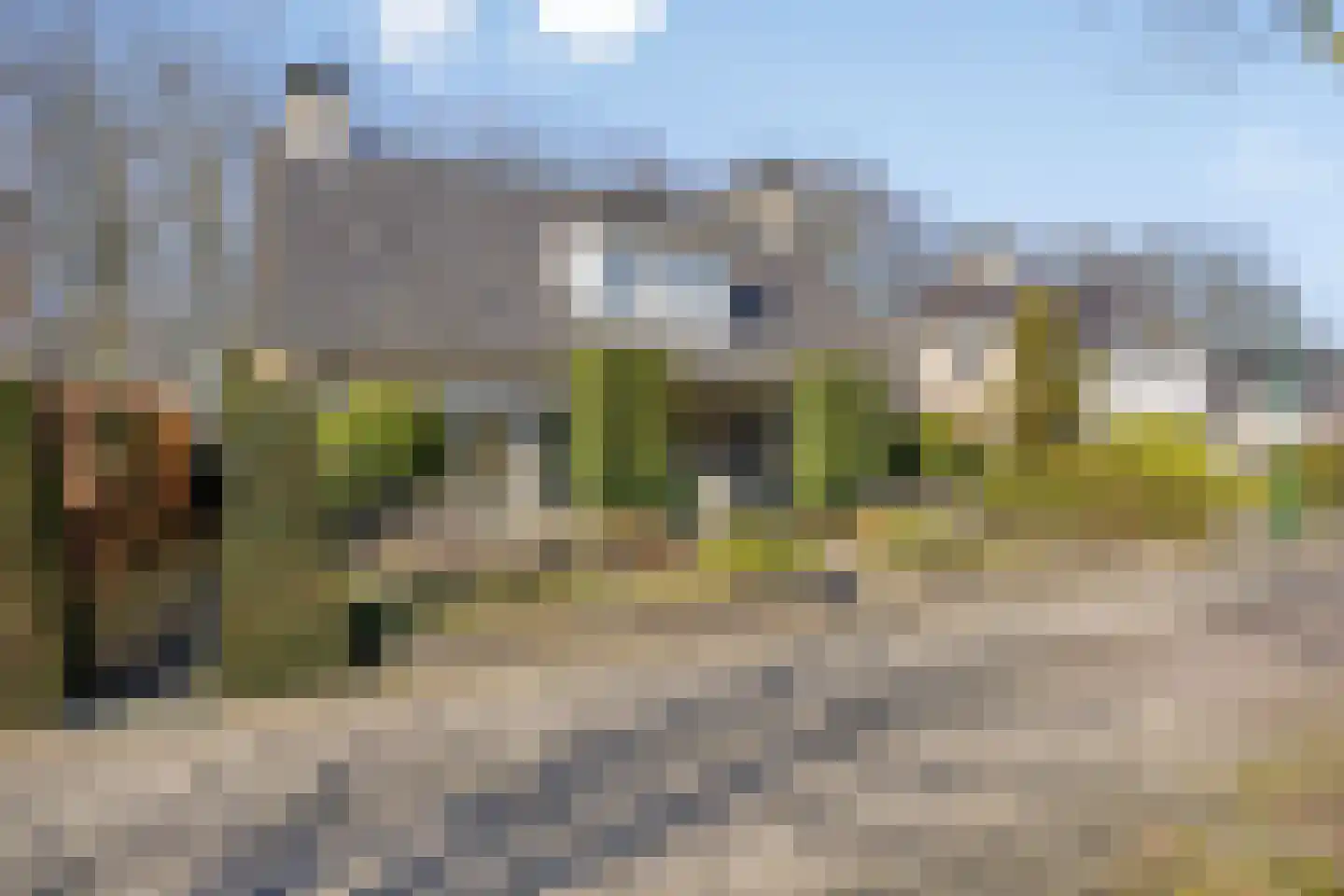 Veenmos 8 Veenendaal