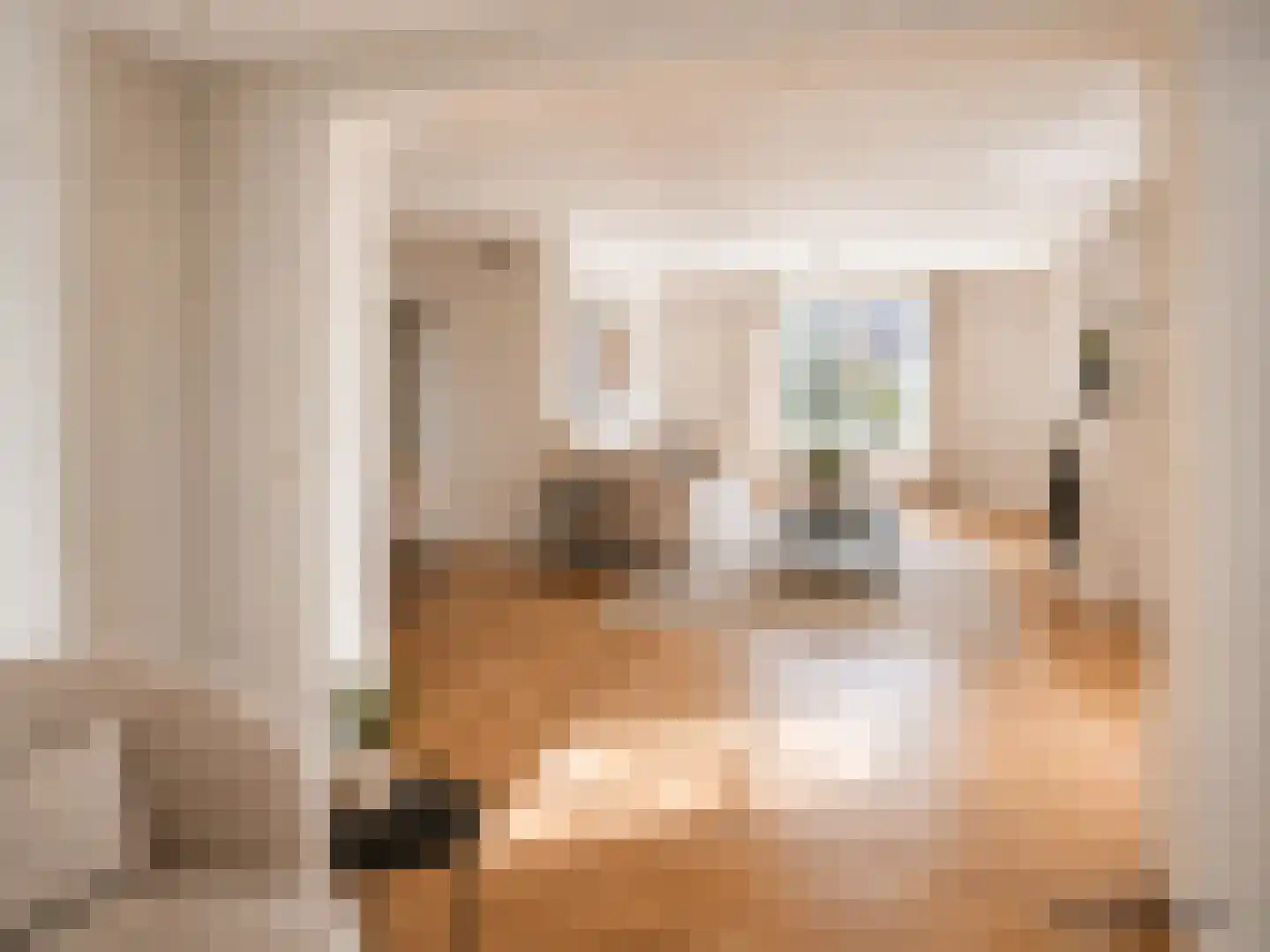 Veenmos 8 Veenendaal thumbnail 16