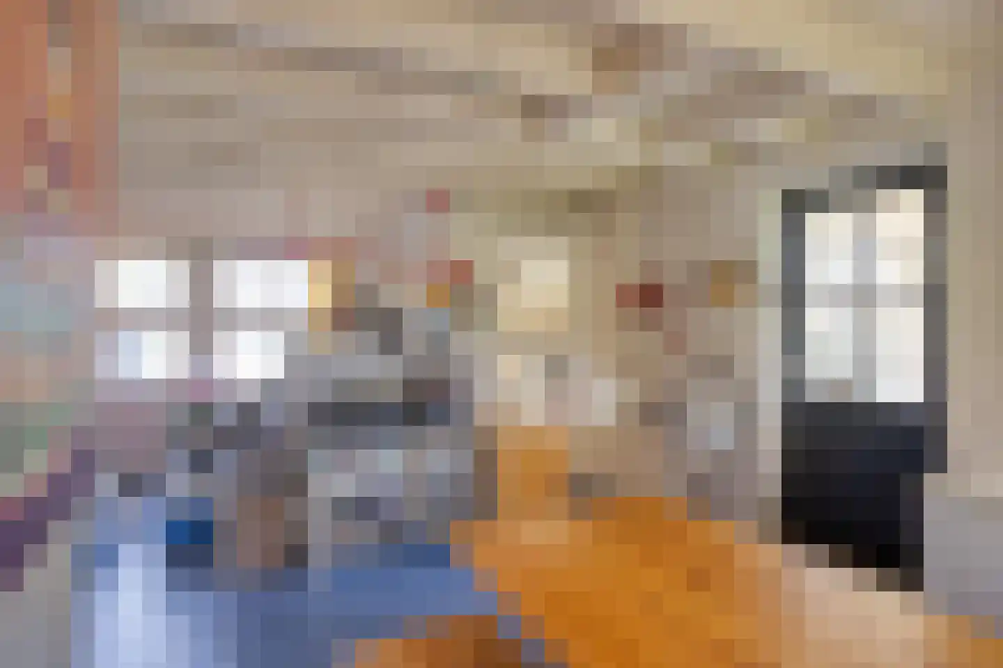 Veenmos 8 Veenendaal thumbnail 20