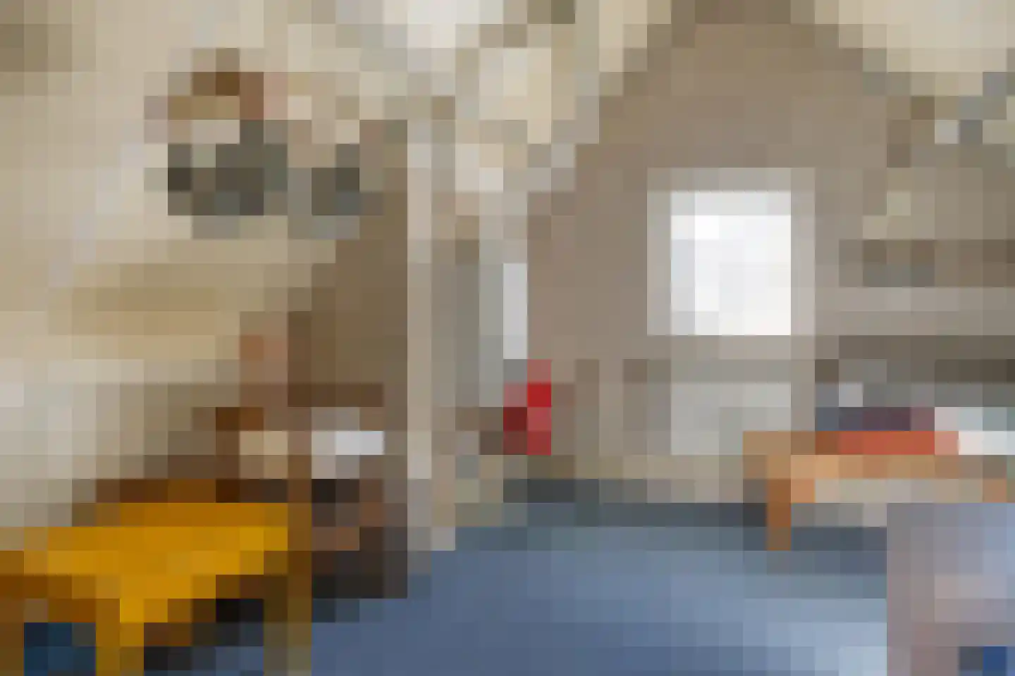 Veenmos 8 Veenendaal thumbnail 21