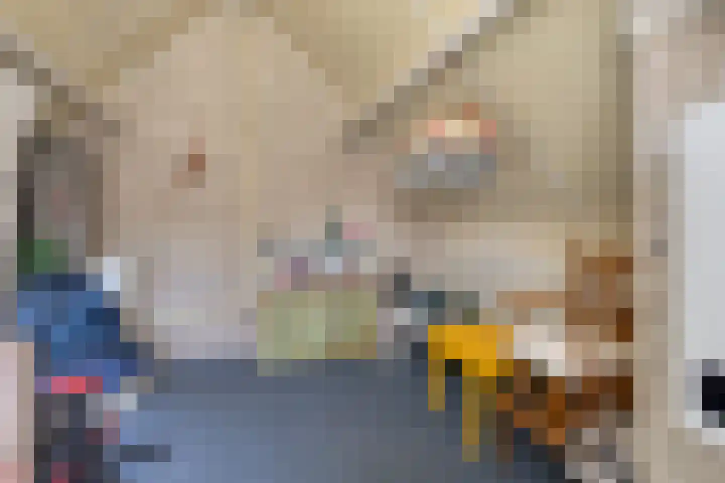 Veenmos 8 Veenendaal thumbnail 22