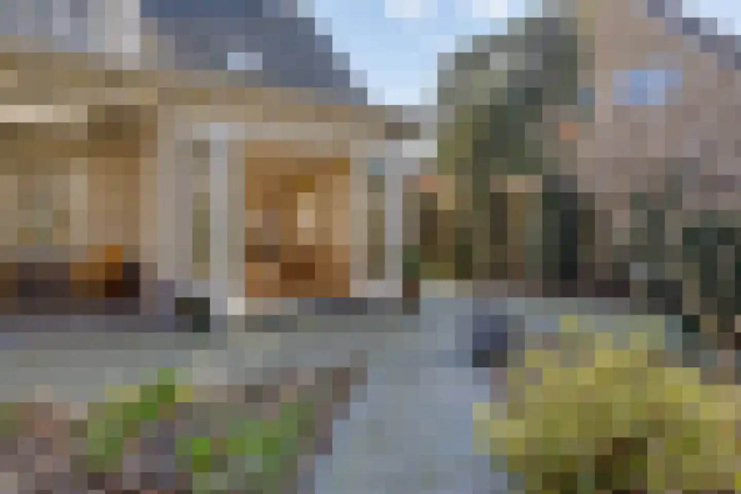 Veenmos 8 Veenendaal thumbnail 30