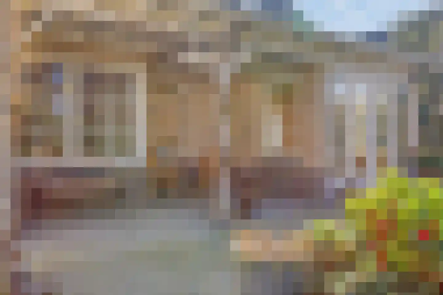 Veenmos 8 Veenendaal thumbnail 31