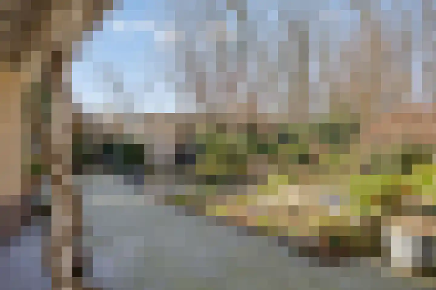 Veenmos 8 Veenendaal thumbnail 32
