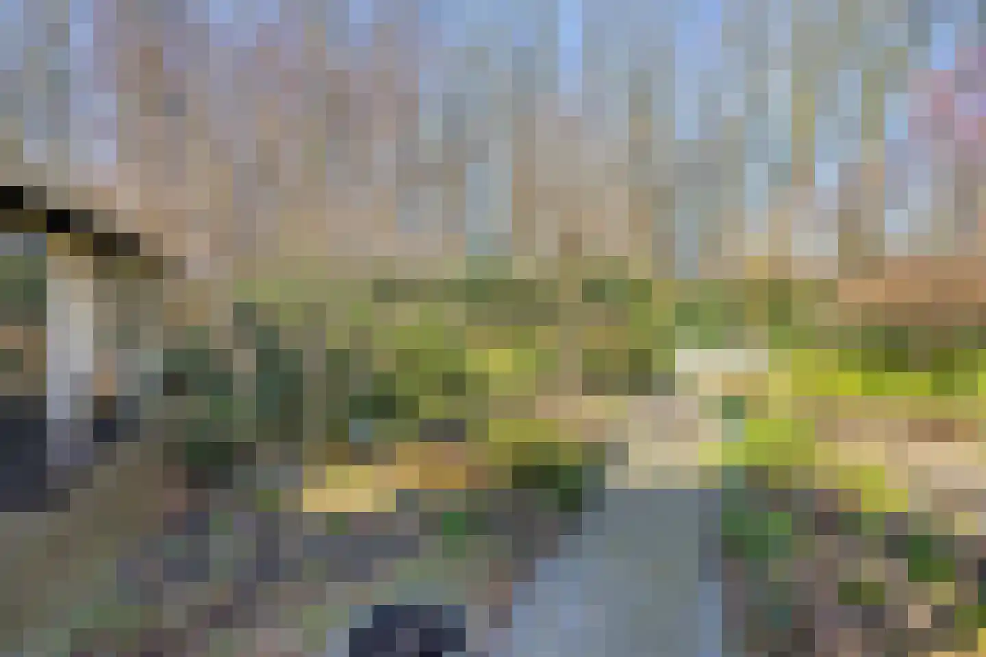 Veenmos 8 Veenendaal thumbnail 33