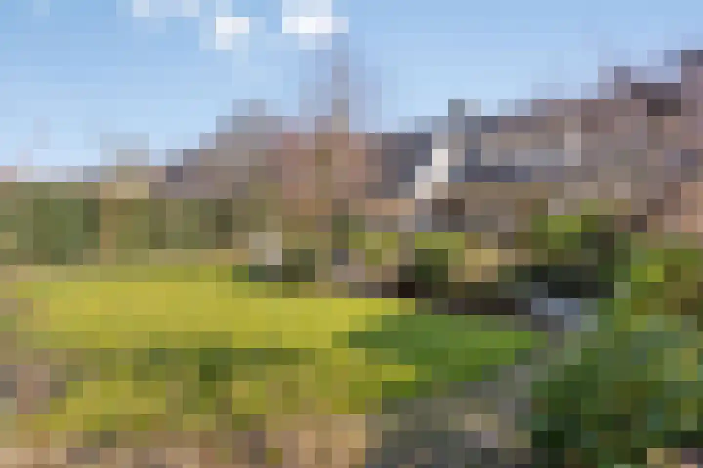 Veenmos 8 Veenendaal thumbnail 34