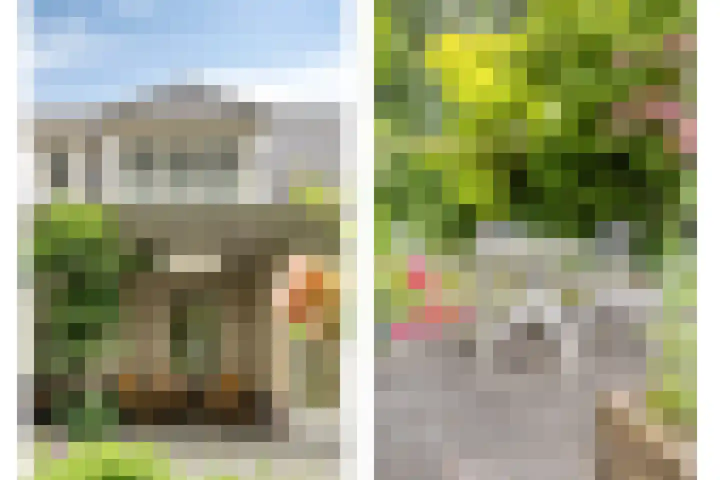 Veenmos 8 Veenendaal thumbnail 35