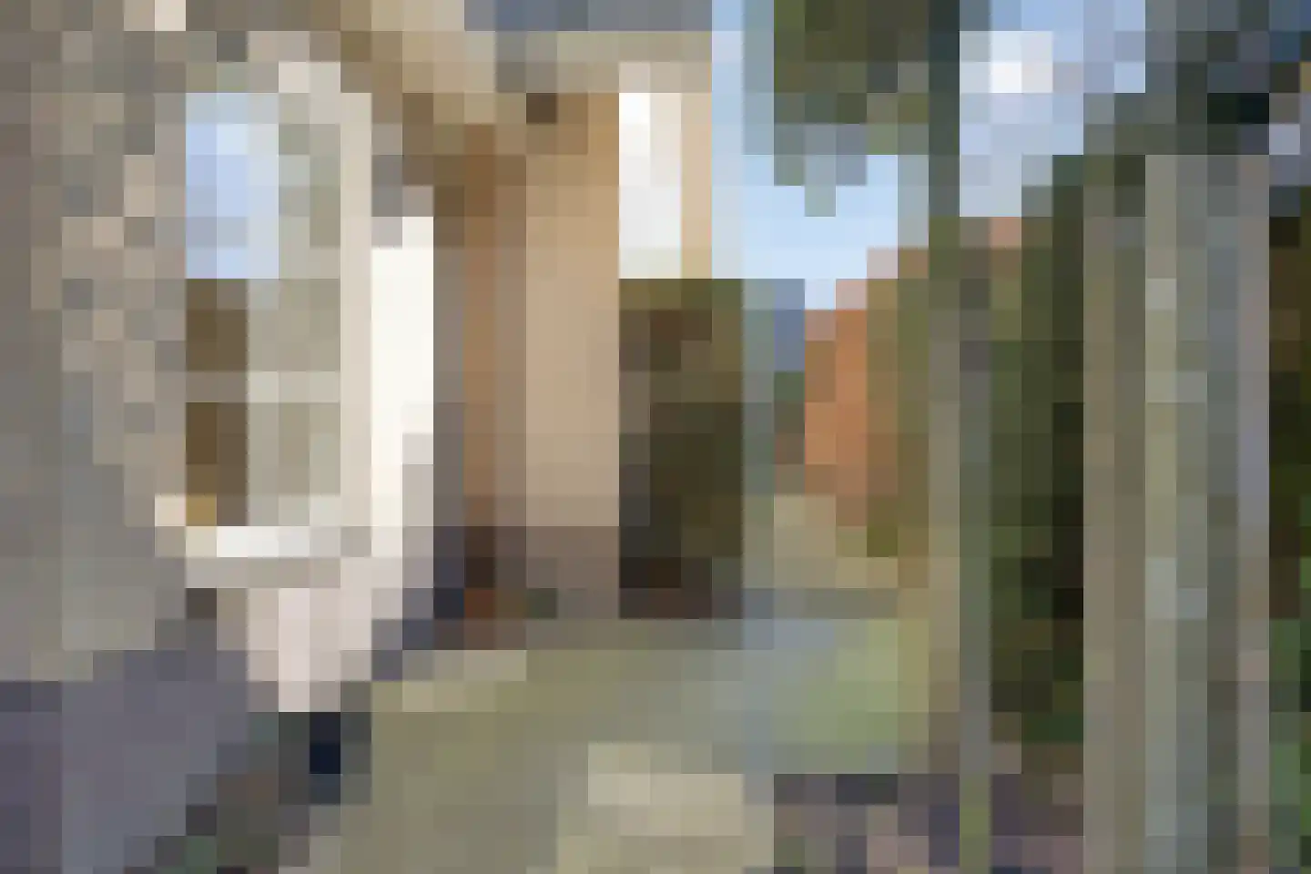 Veenmos 8 Veenendaal thumbnail 36