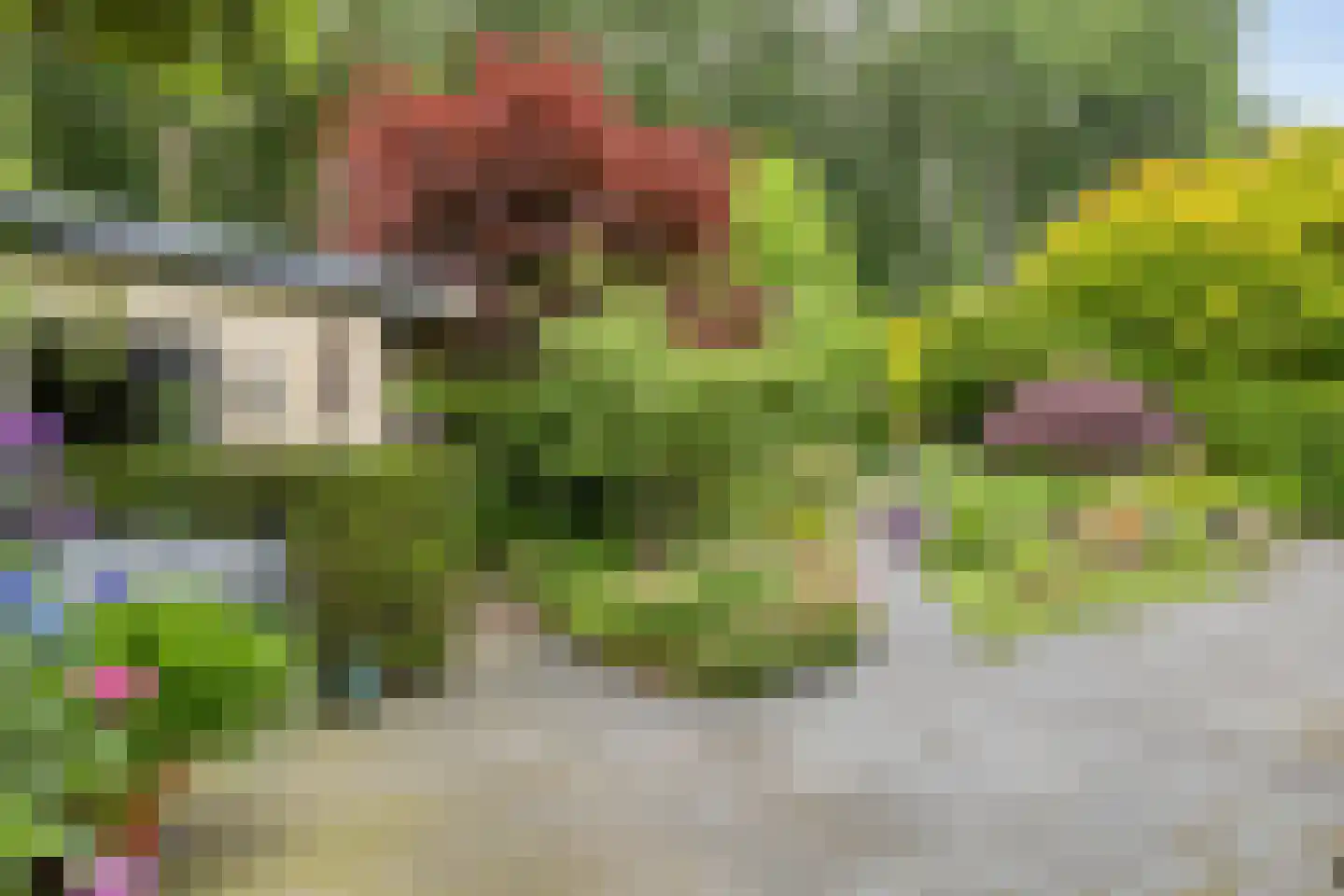 Veenmos 8 Veenendaal thumbnail 36