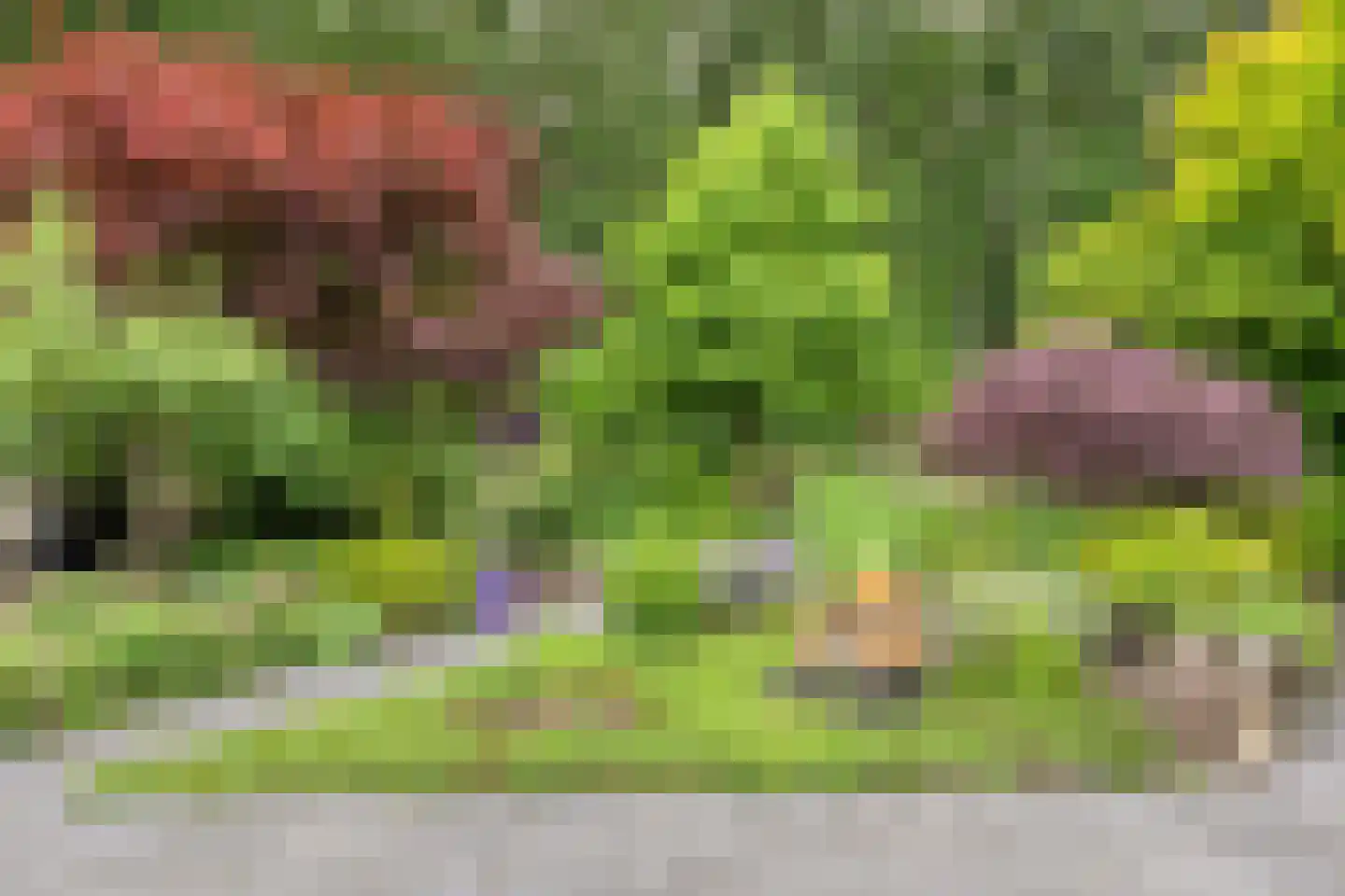 Veenmos 8 Veenendaal thumbnail 37