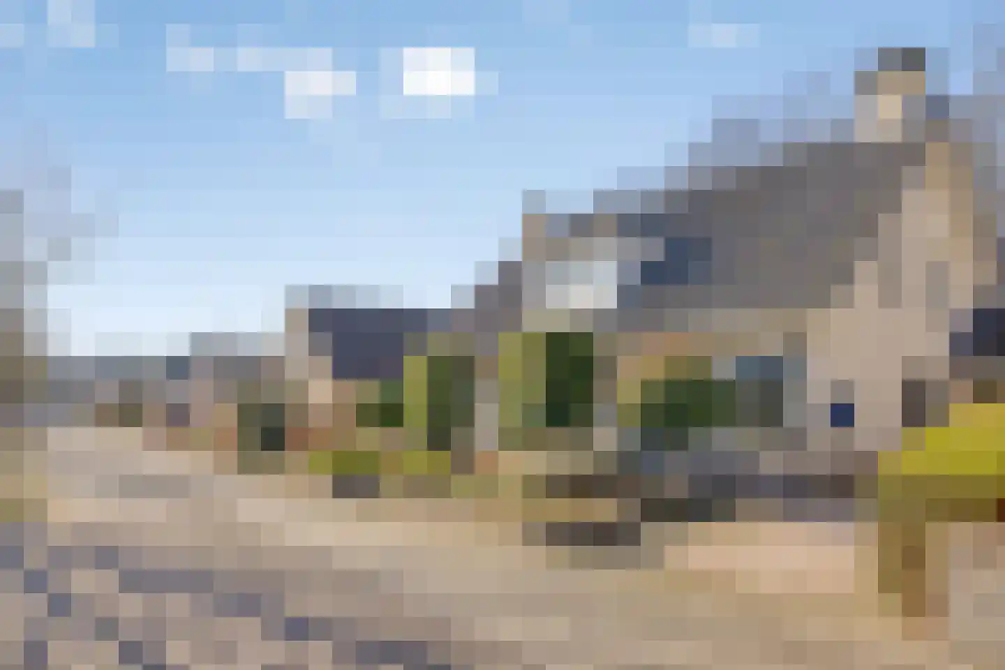 Veenmos 8 Veenendaal thumbnail 37