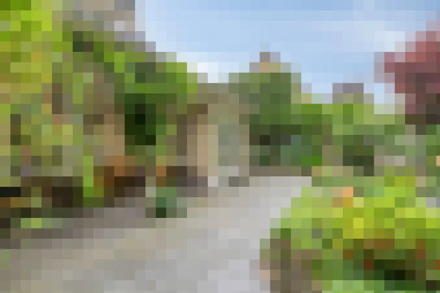 Veenmos 8 Veenendaal thumbnail 38