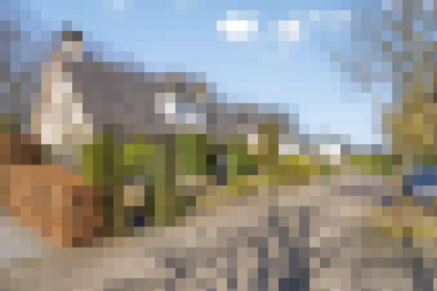 Veenmos 8 Veenendaal thumbnail 38