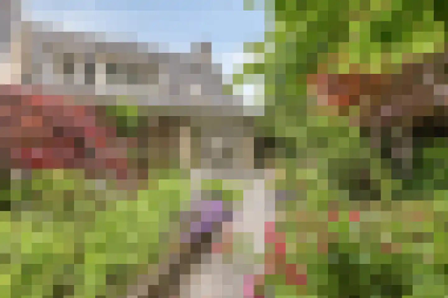 Veenmos 8 Veenendaal thumbnail 39