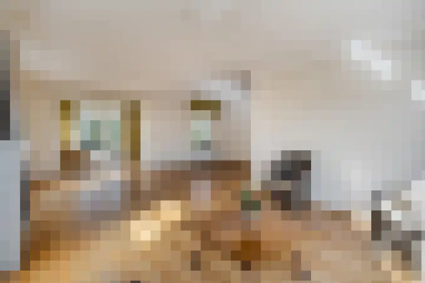 Veenmos 8 Veenendaal thumbnail 4