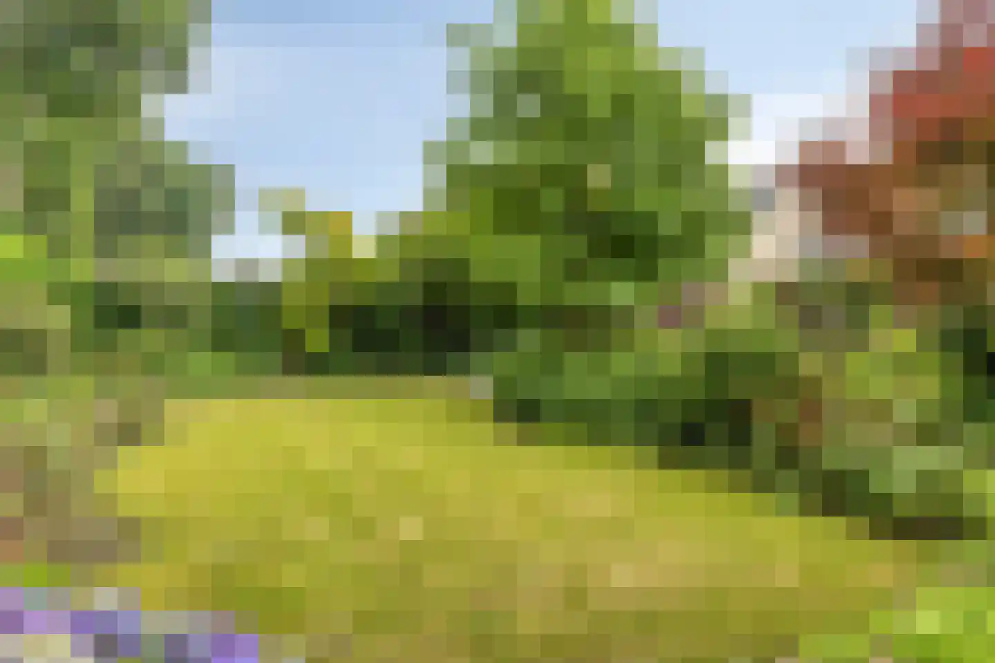 Veenmos 8 Veenendaal thumbnail 41