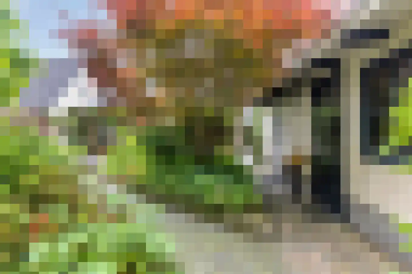 Veenmos 8 Veenendaal thumbnail 42